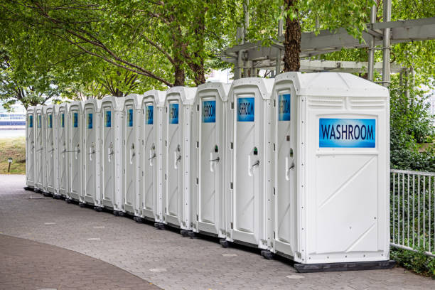 Best Sanitation services for porta potties  in Vassar, MI